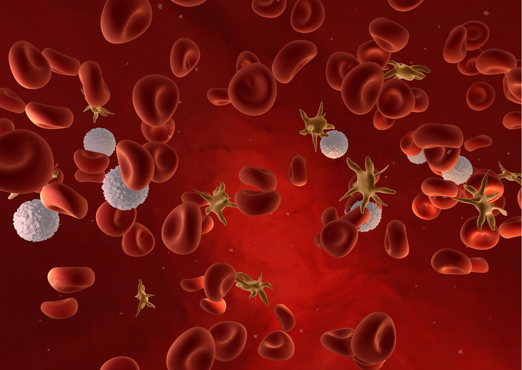 covid-19 antifosfolipide