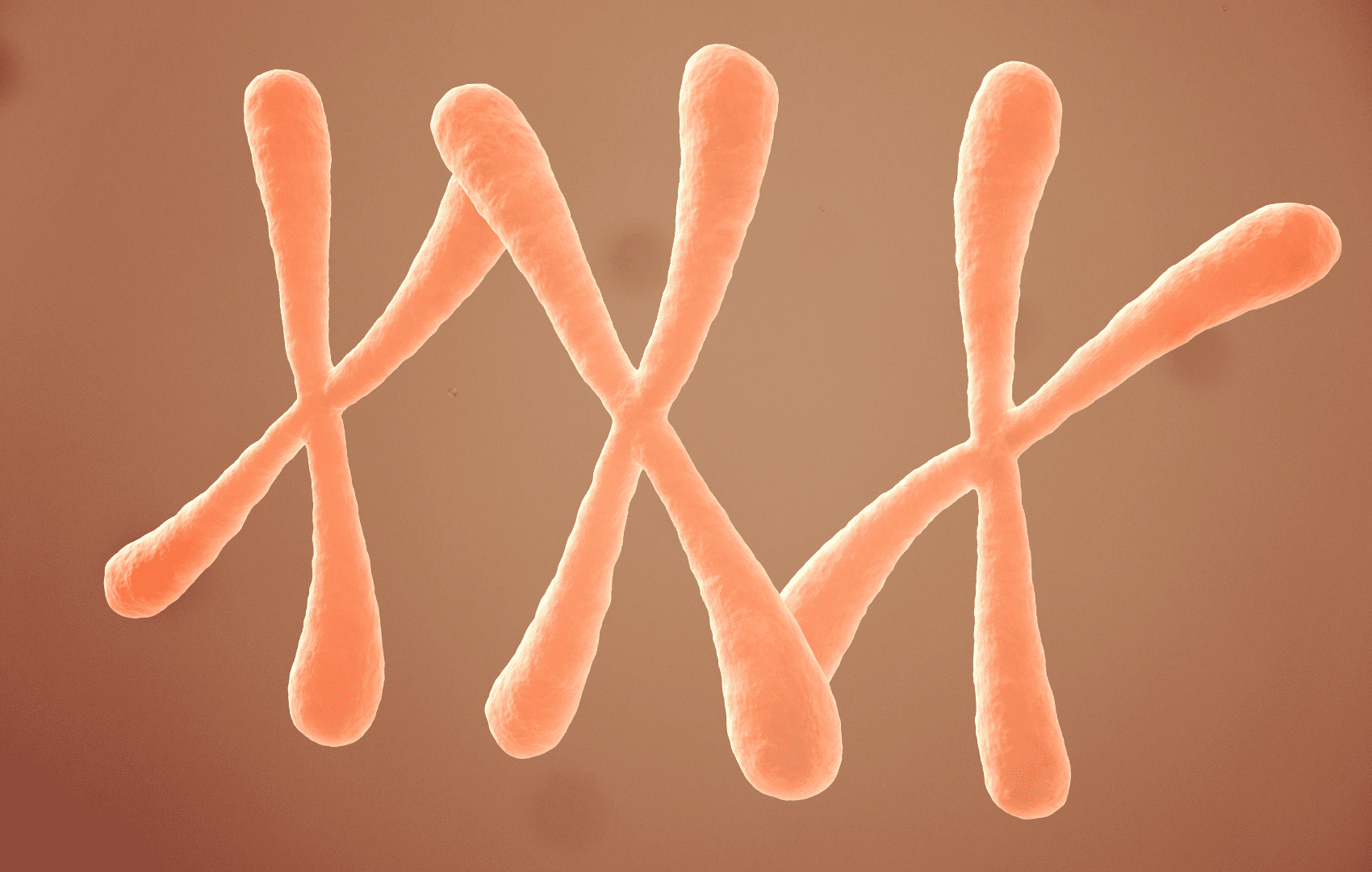 trissomias cromossômicas