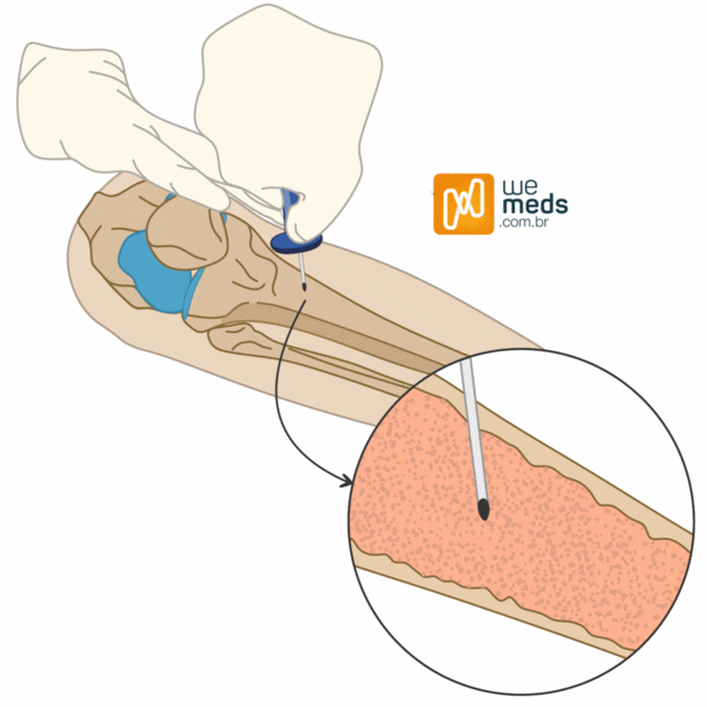 wemeds melhor app de medicina