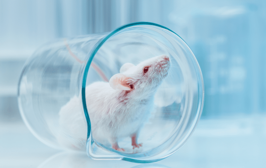 reversão sexual por deficiência de ferro