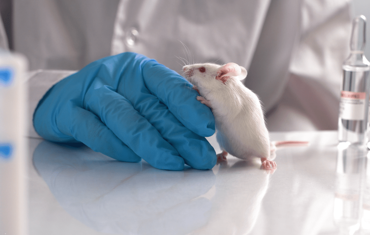 Vacina da USP contra COVID