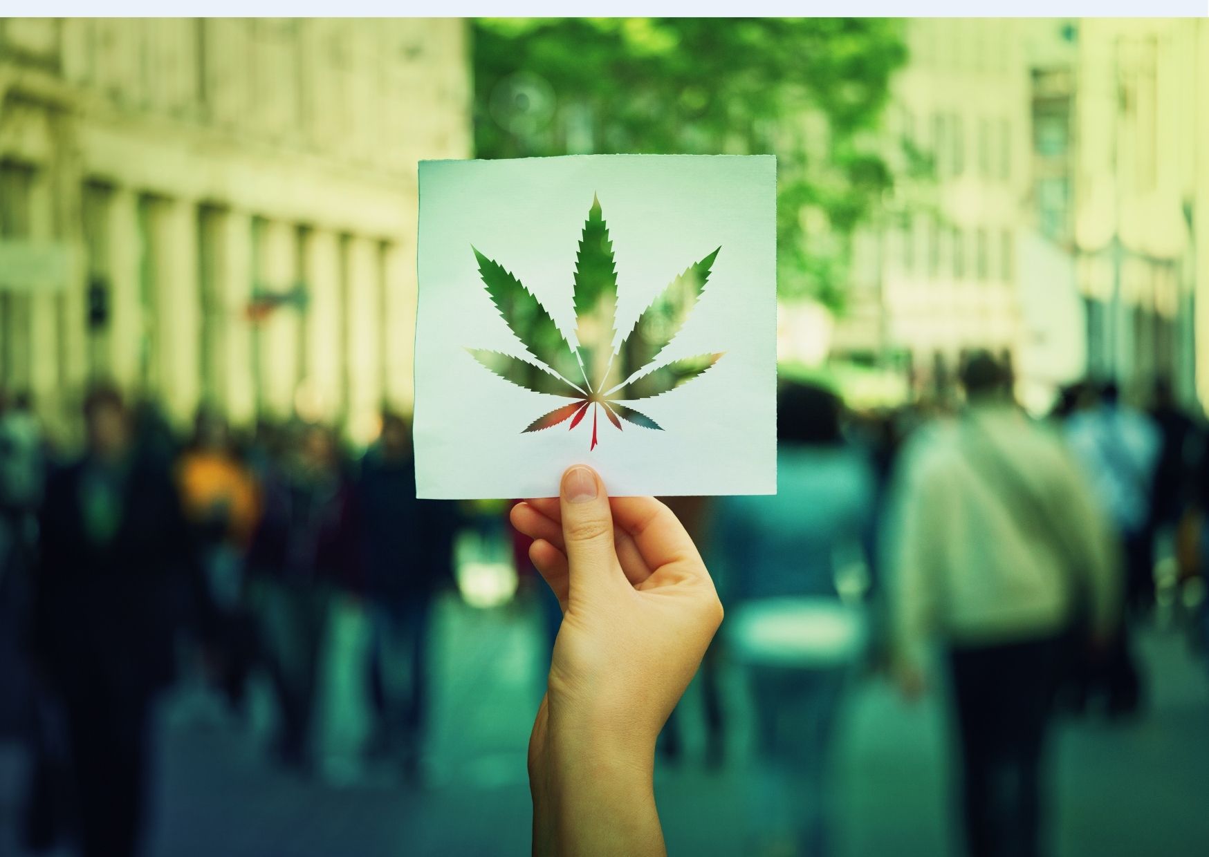 cetoacidose diabetica cannabis