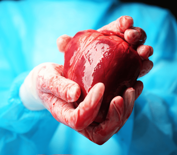 EuroSCORE II: Avaliação de risco em cirurgia cardíaca de grande porte