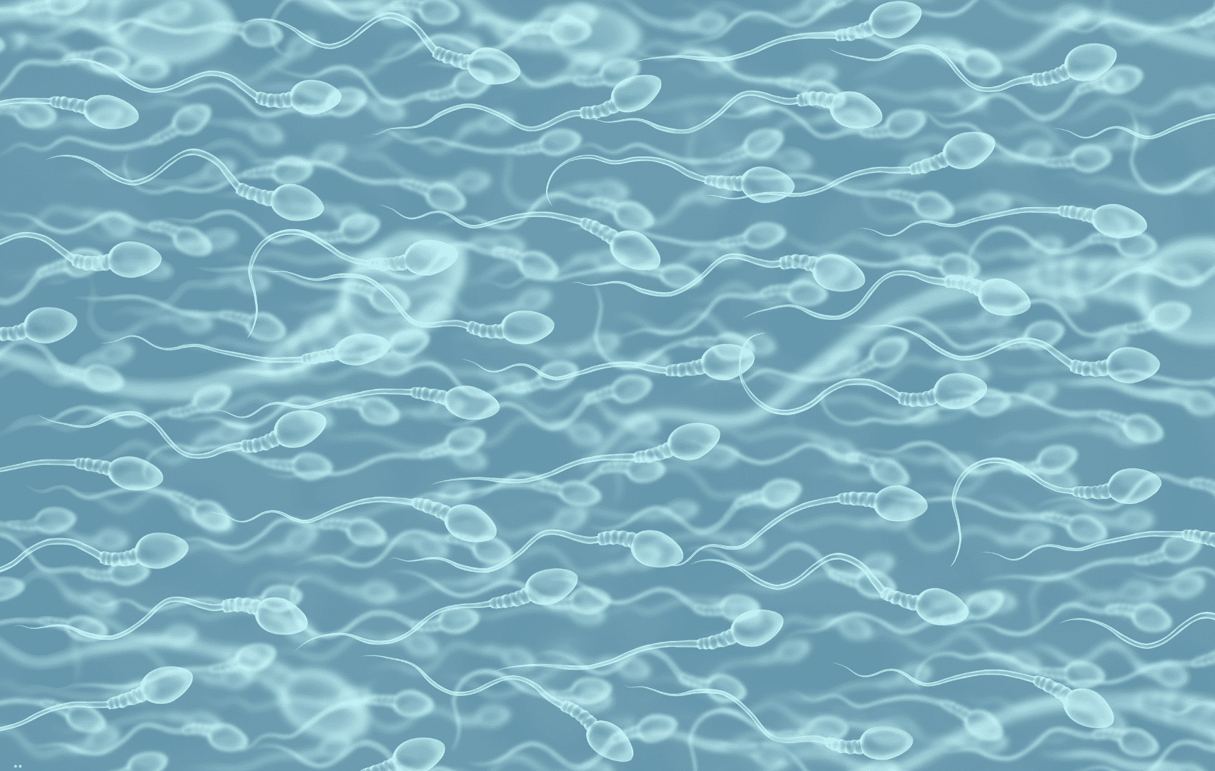 espermograma contraceptivo masculino