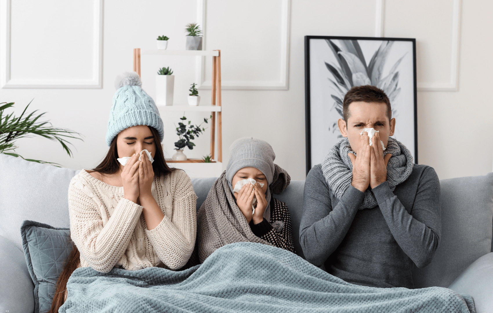 gripe h1n1 Timomodulina 