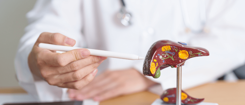Wegovy além da obesidade: FDA amplia uso da semaglutida para doença hepática grave