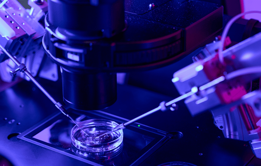 período periconcepcional