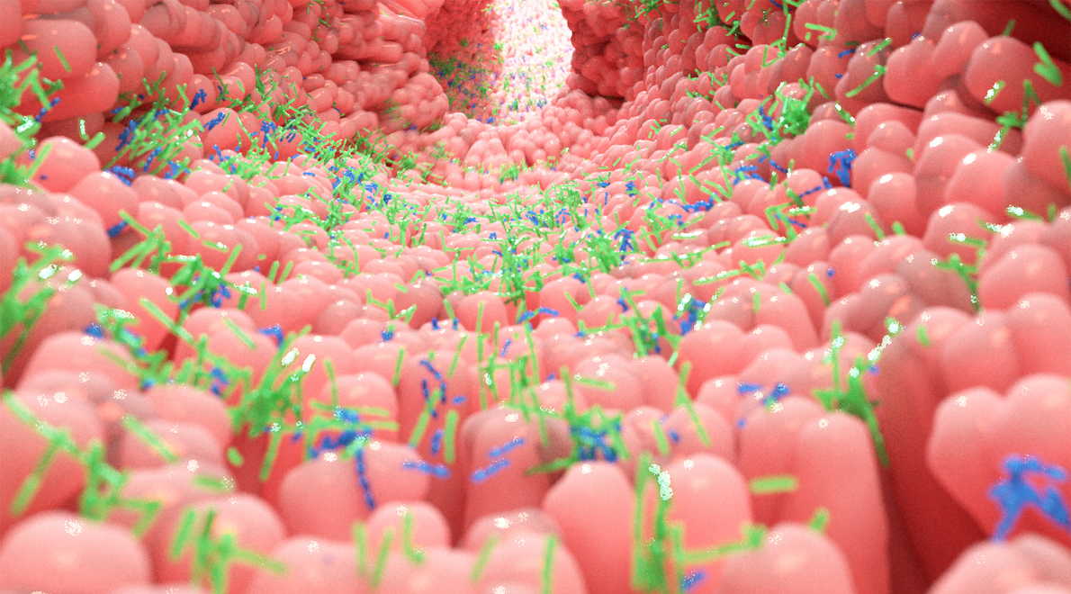 Supercrescimento Bacteriano no Intestino Delgado