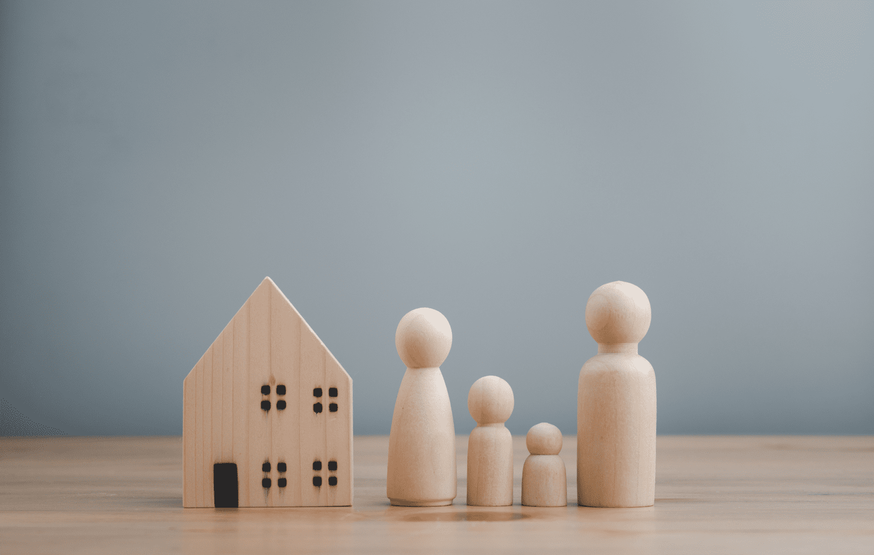 sistema unico de saude família