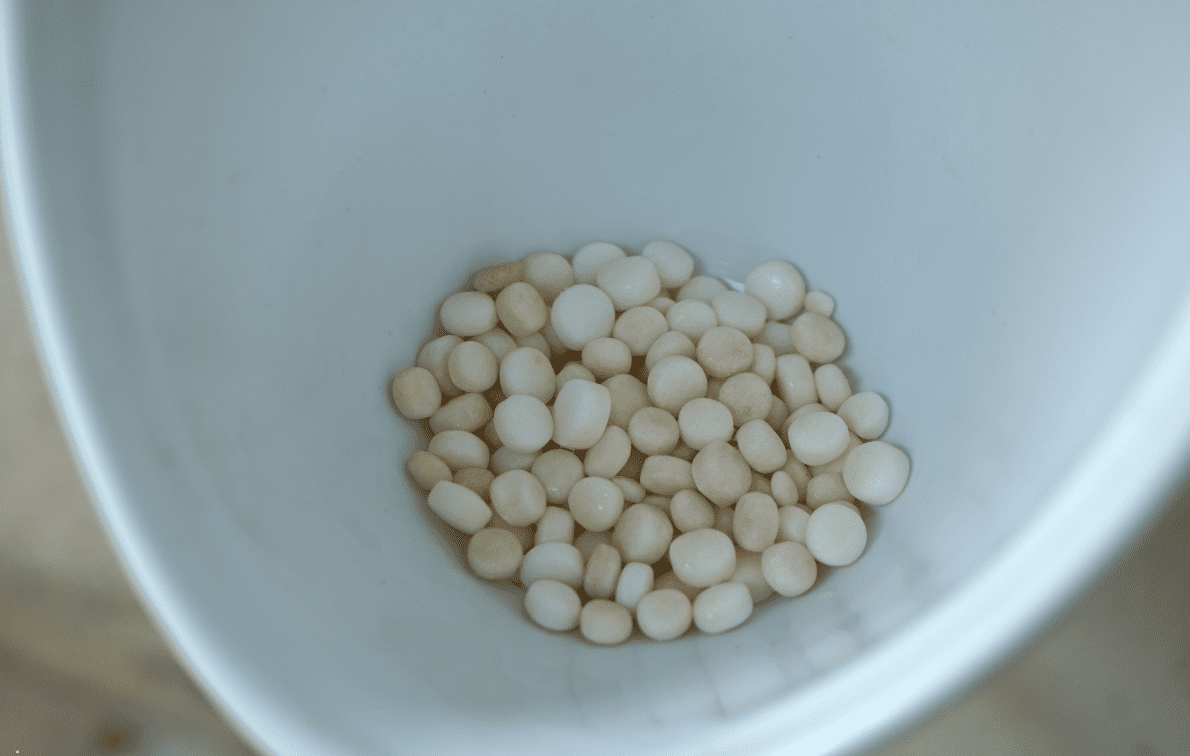 Diagnóstico e Tratamento da Intoxicação por Naftalina