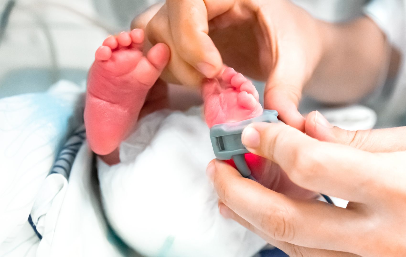 neonatal Elizabethkingia meningoseptica