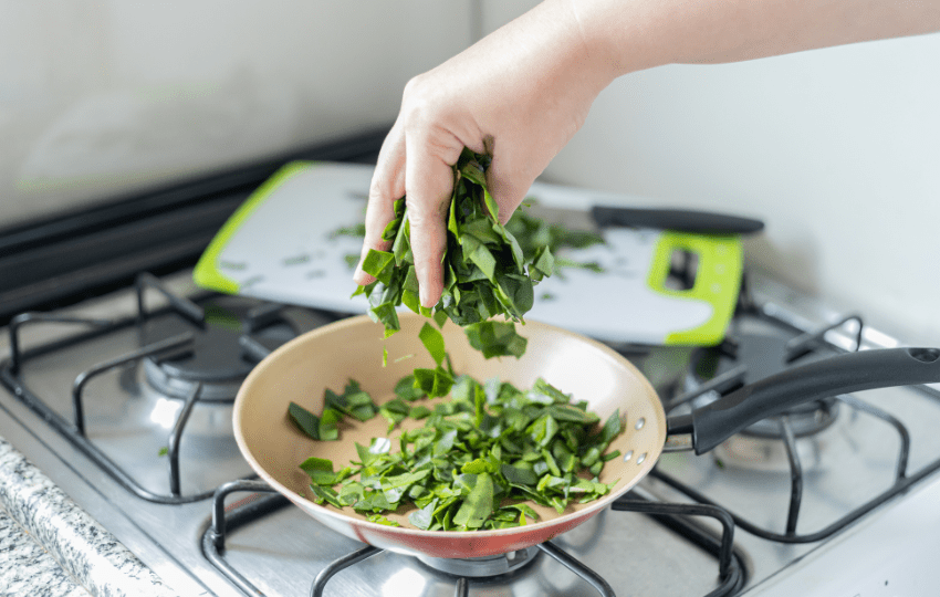 Suplementos com ora-pro-nóbis