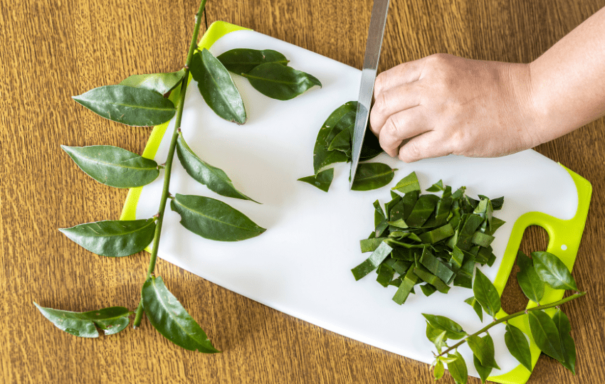 Suplementos com ora-pro-nóbis