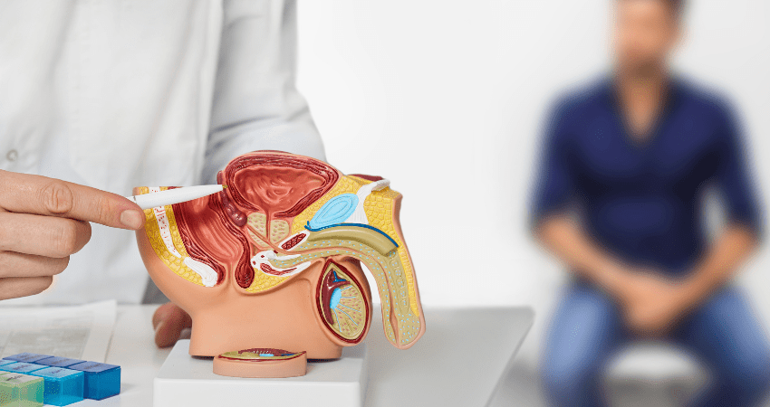 Estramustina no Tratamento do Câncer de Próstata