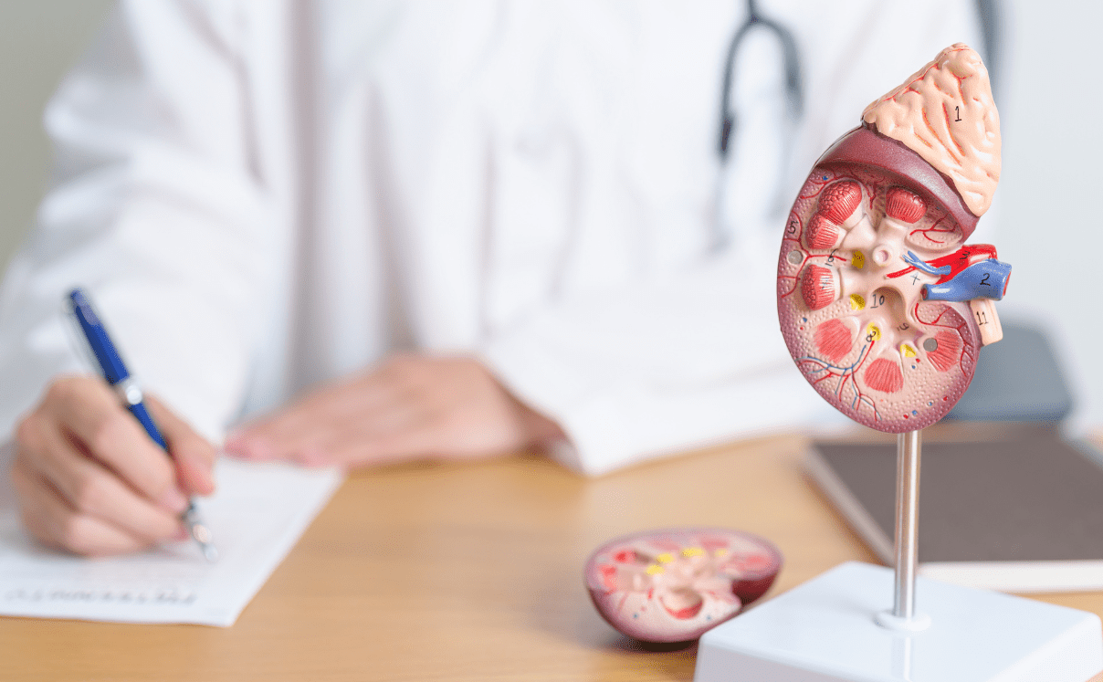 glomerulonefrite transplante renal de doadores com HIV