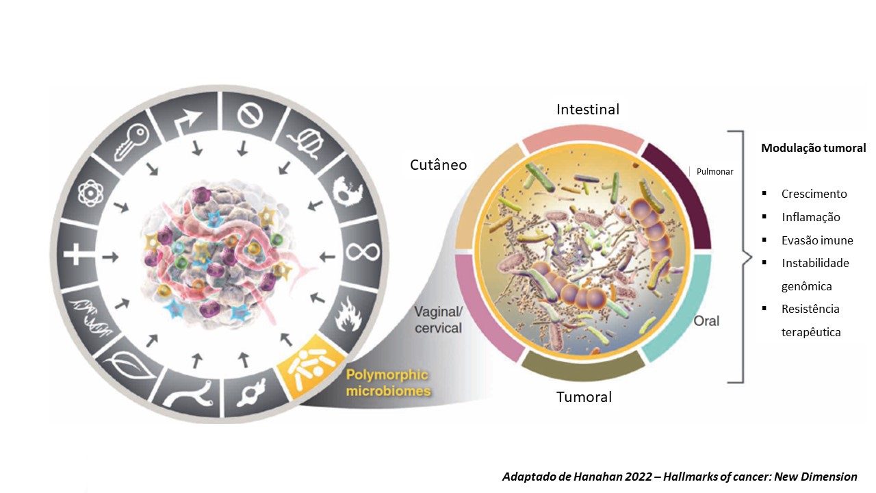 cancer colorretal c. difficile hallmarks