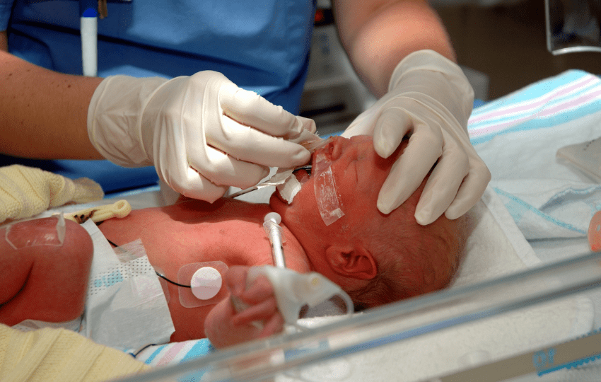 Elizabethkingia meningoseptica