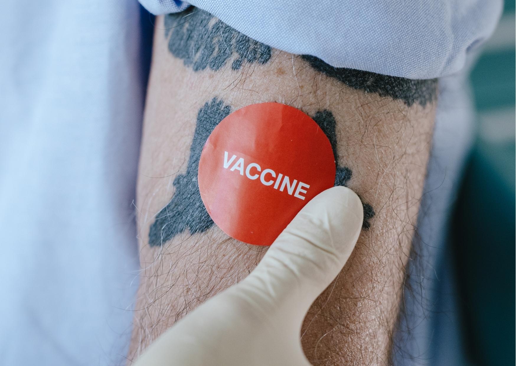 vacina contra vírus zika