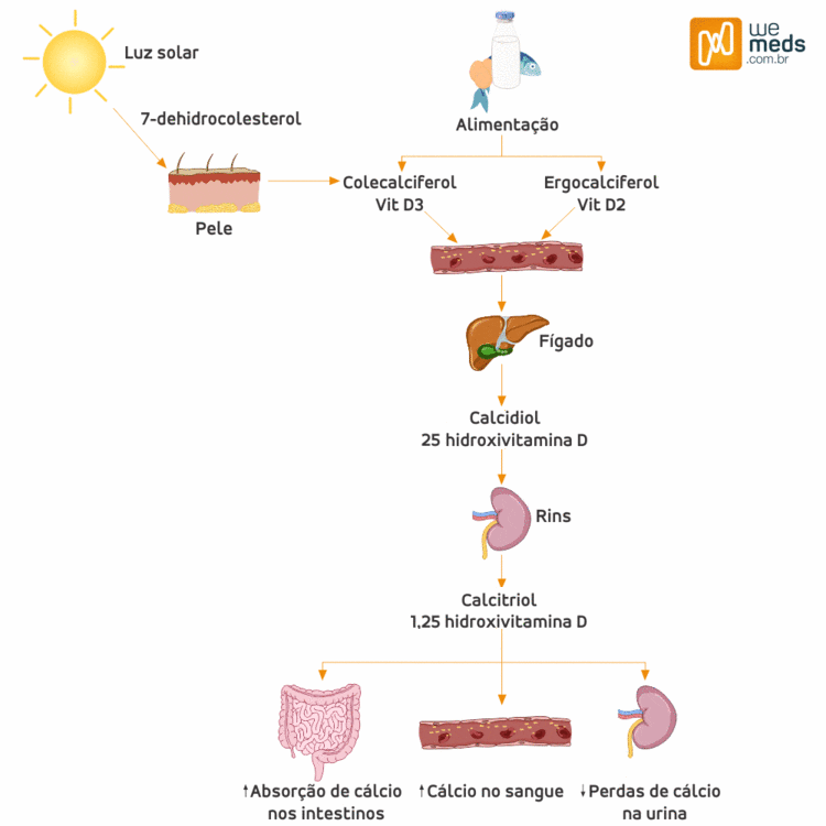 vitamina d colecalciferol