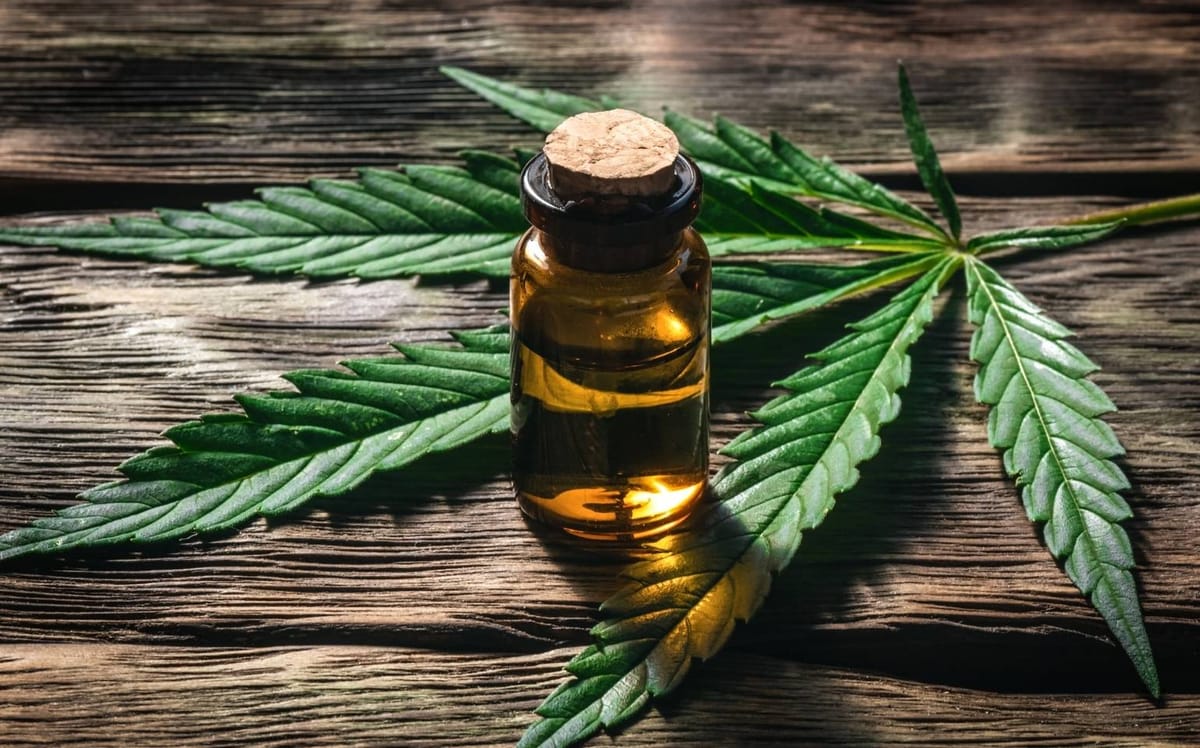 Canabidiol: consulta pública e suspensão da resolução pelo CFM