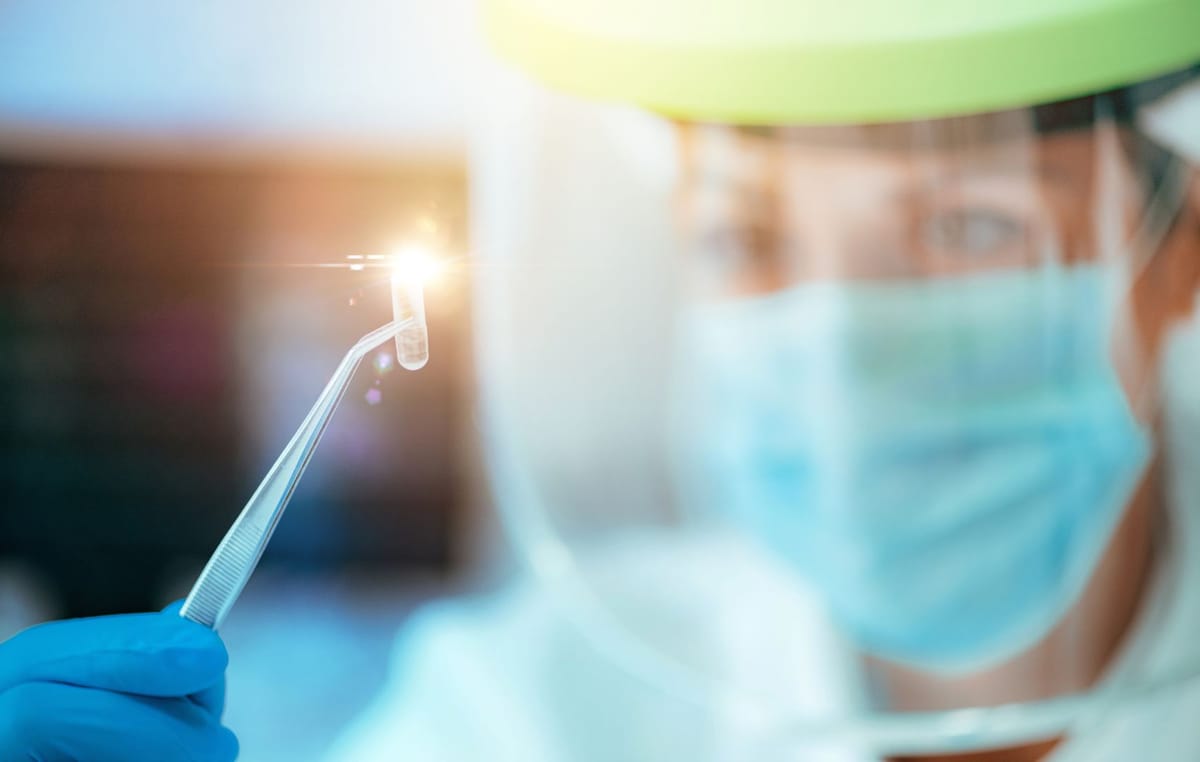 “Vagina em chip”: entenda mais sobre essa técnica inovadora