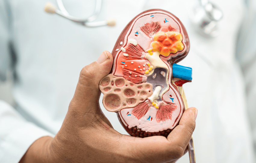 insuficiência renal aguda, lesão renal aguda