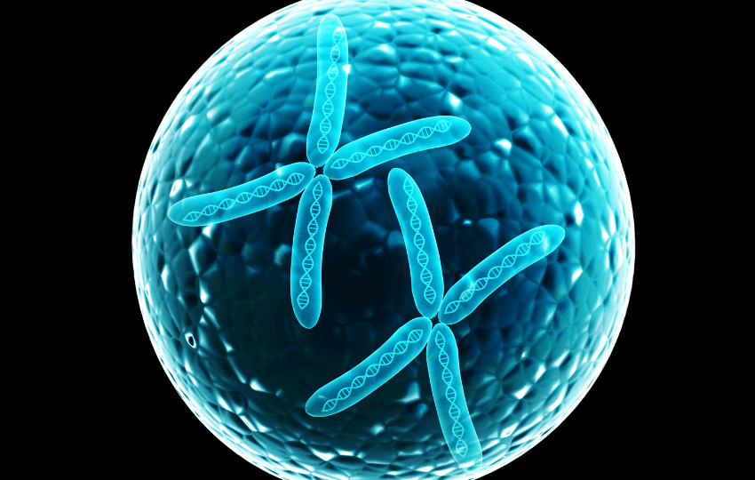 reversão sexual por deficiência de ferro