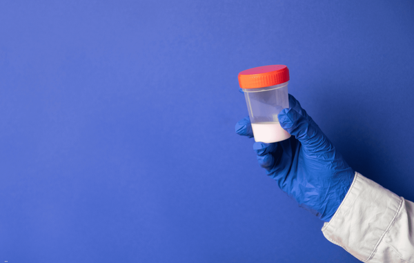 Espermograma: como interpretar?