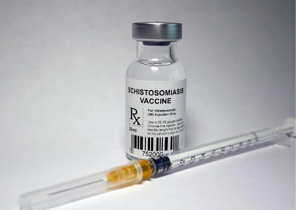 Possíveis caminhos para uma vacina contra esquistossomose