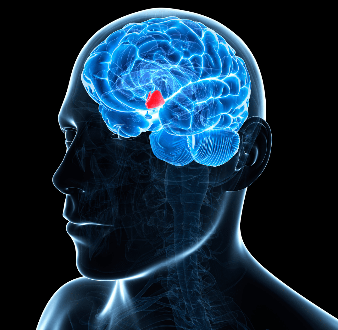 hipogonadismo masculino